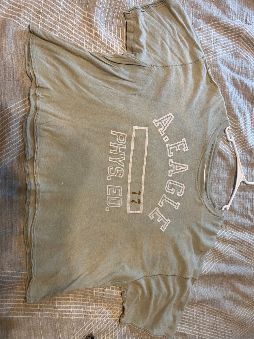 American Eagle Outfitters Sage Green A.Eagle Phys. Ed. Crop Top